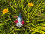 Axolotl -  die Magie der Regeneration