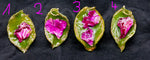 Rose petals & rose blossoms